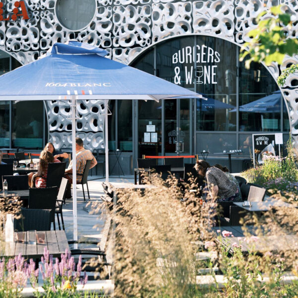Burgers & Wine | Three -course menu in a restaurant for one