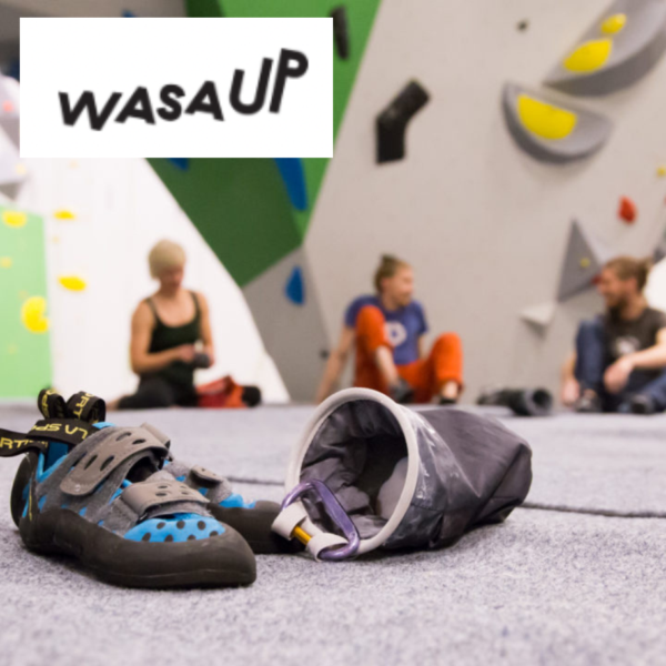 Wasa Up | Kiipeily- Kokeilukäynti varusteineen 2krt