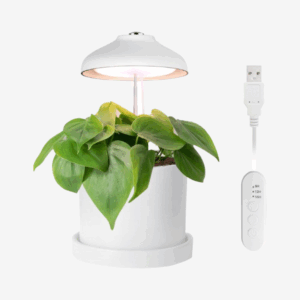 Enne | Bijou Grow – Plant Light, USB, 5 W, 240 lm, White