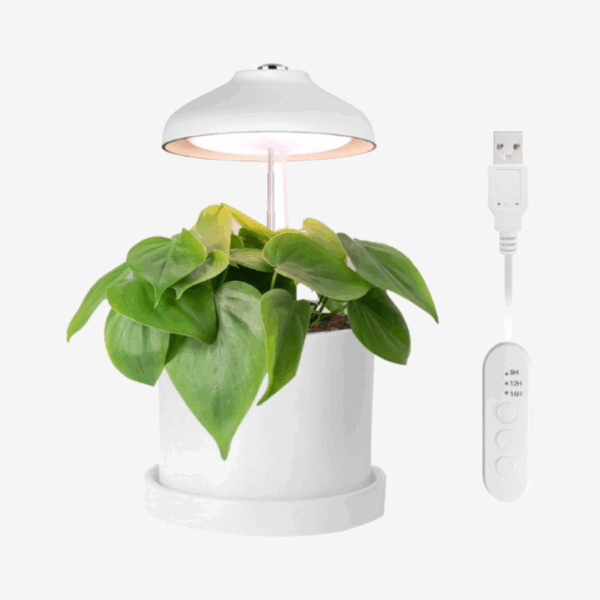 Enne | Bijou Grow – Plant Light, USB, 5 W, 240 lm, White