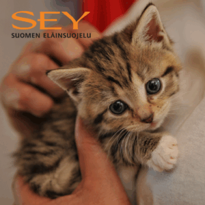 SEY Suomen Eläinsuojelu | Donation